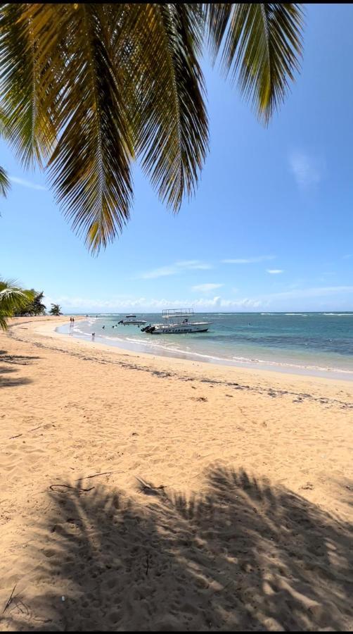 Lovely Beachfront 2 Bedrooms Condo With 2 Pools Las Terrenas Eksteriør billede